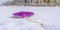 Purple sled on snow with homes in the background