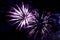 Purple sparks of a bright firework in the night sky.