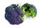 Purple sprouting Brocolli