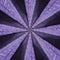 Purple Starburst textile pattern