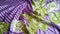 Purple striped silk fabric with an amazing green floral pattern.