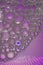 Purple Suds Wallpaper Background Texture