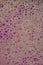 Purple Suds Wallpaper Background Texture