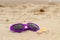 Purple sunglasses shaped heart with shells on sand at beach
