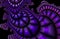 Purple Swirl Background