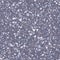 Purple terrazzo flooring seamless pattern. Realistic vector floor texture