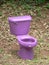 Purple Toilet