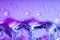 Purple transparent realistic ice cube reflection blocks composition on purple