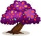 Purple tree