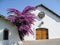 Purple Tree on a White Wall