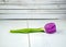 Purple tulip on whitewashed wood