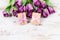 Purple tulips and gift for different occasions