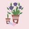 Purple tulips im pots, vector illustration