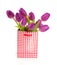 Purple tulips in a red white checkered giftbag