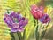 Purple tulips on yellow-green background