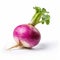 Purple Turnip On White Background - Steinheil Quinon 55mm F19