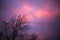 Purple ultraviolet sky