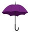 Purple umbrella, vector or color illustration