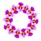 Purple Vanda Miss Joaquim Orchid Wreath. Singapore National Flower. Vector Illustration