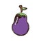 purple vegetable eggplant icon