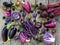 Purple vegetables and fruits on wooden background