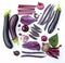 Purple vegetables in knolling style on a white background. Fashionable concept. Advertising, banner, poster