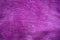 Purple velvet texture