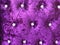 Purple velvet texture background with diamonds