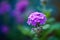 Purple Verbena on Blurred Green. Generative AI