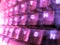 Purple / Violet Keyboard Blur