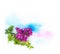 Purple violet lilac spring flowers and hand painted watercolor blot spot on white background. Corner element border frame photo