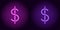 Purple and violet neon dollar sign