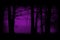 Purple, Violet Woods, Forest Background