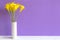 Purple wall with calla lily yellow flower on shelf white wood,
