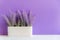 Purple wall with flowers on shelf white wood, copy space for text