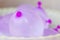 Purple Water Balloon in a bowl