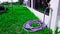 Purple water rubber tube connected to the hose on the white fences