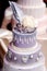 Purple wedding cake decorated with flowers