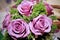 Purple wedding roses