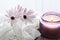 Purple White Daisies and purple candle on dreamy background.  Still life for Mothers Day and Valentines Day