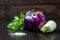 Purple and white eggplant (aubergine) with basil on dark wooden table. Fresh raw farm vegetables - harvest from the gard