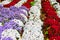 Purple, white, and red flowers form American flag pattern in detail