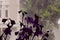 Purple Wildflower Bouquet in Front of a Window, with View of Neighborhood Through the Glass in the Evening