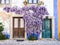 Purple wisteria plant growing arounf doors of an old house in Po