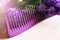 Purple women`s hairbrush and flowers