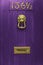 Purple wooden door with golden knob and mailbox