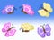 Purple yellow and pink spring butterfly illustrations with blue and white background