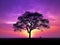 Purple and yellow sunset with tree silhouette