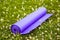 Purple Yoga Exercise Mat On Green Grass