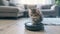 Purr-fect Harmony: Kitten Rides Robot Vacuum in Modern Living Room